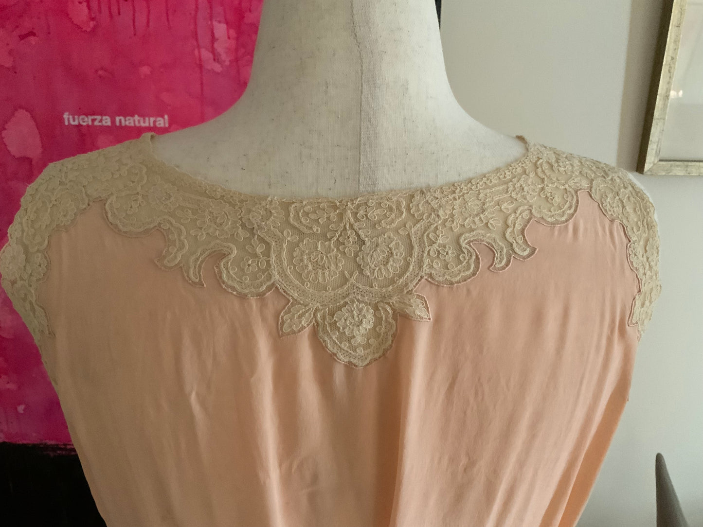 Silk Nightgown Lace Embellishments - 20s