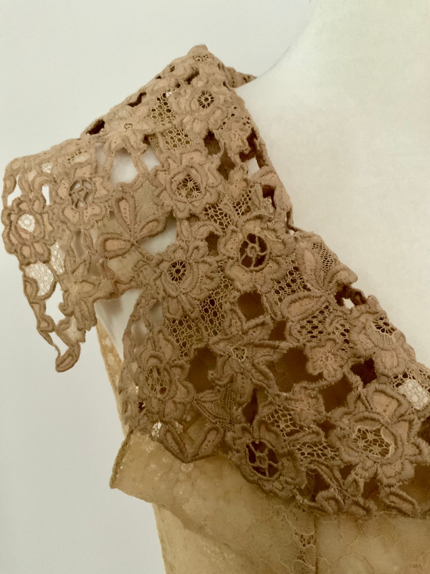 Edwardian Lace Lingerie Overdress with Five-Panel Skirt, c. 1905–1915 - ED46