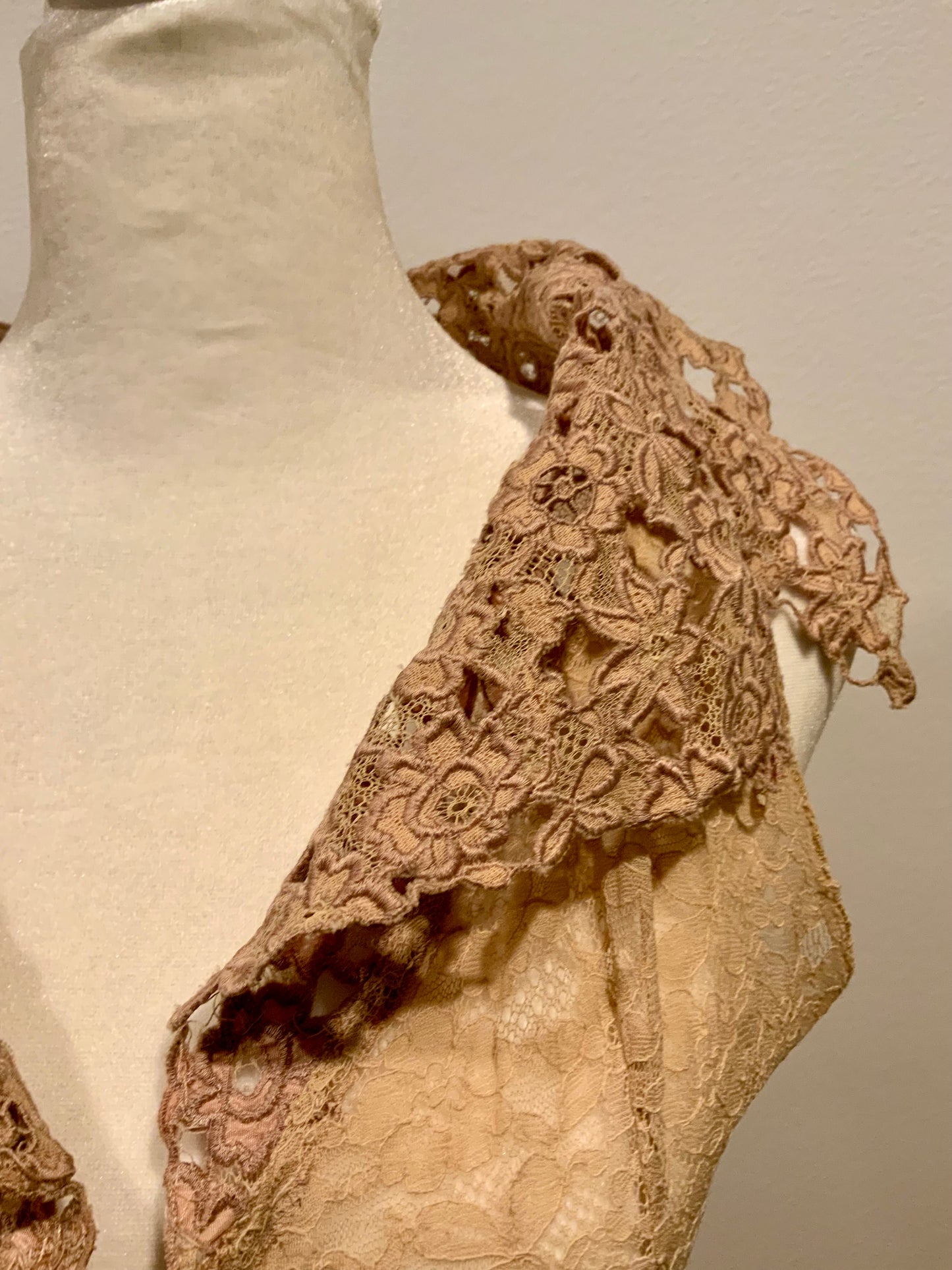 Edwardian Lace Lingerie Overdress with Five-Panel Skirt, c. 1905–1915 - ED46