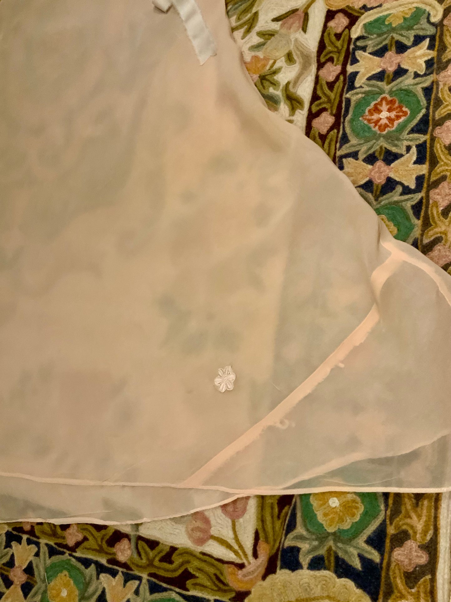 Un 1930s Peach Silk Chiffon Bias-Cut Gown with Bishop Sleeves | 30AU