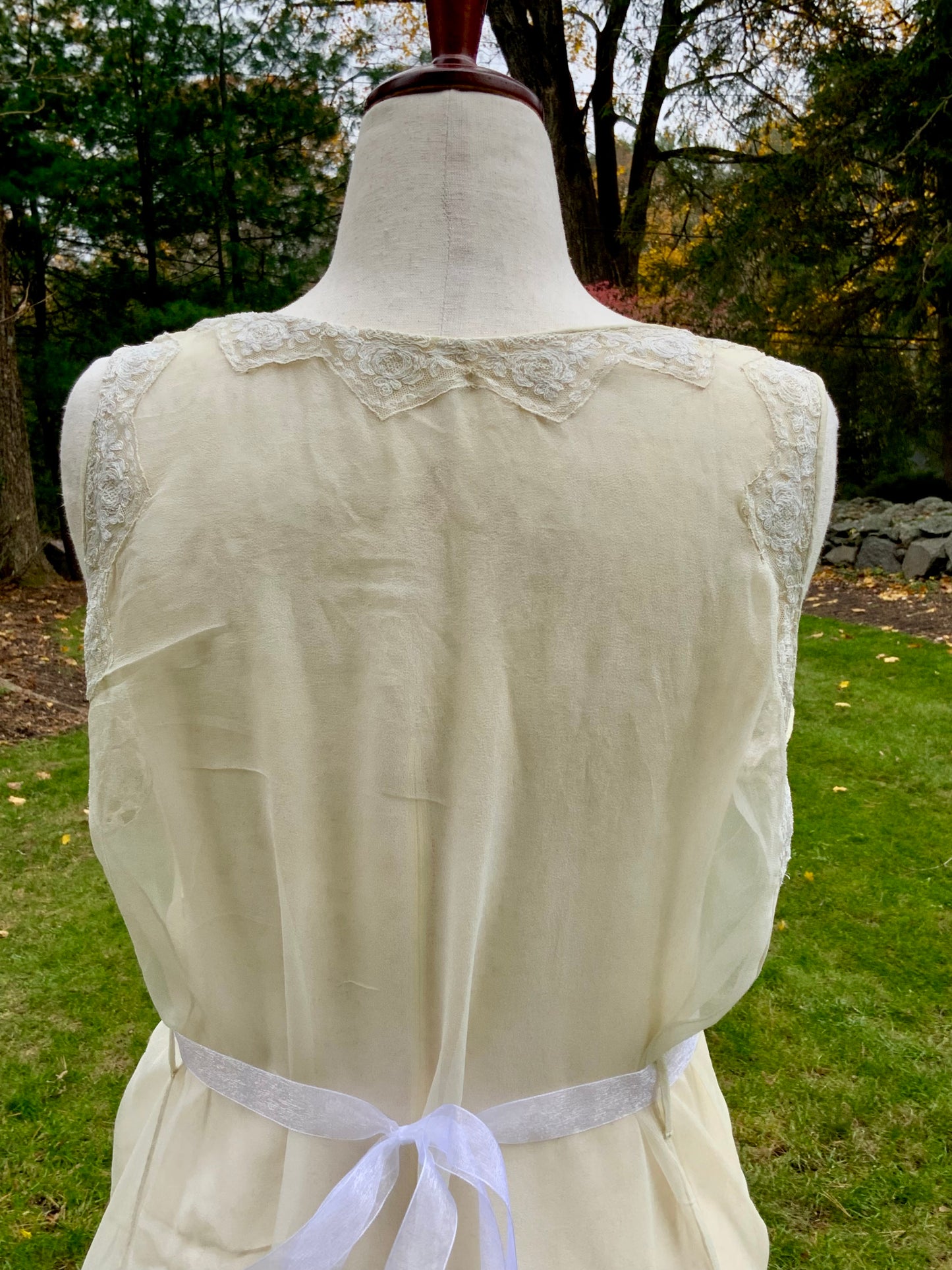 Edwardian–1920s Sheer Silk Chiffon Slip Dress | -Trousseau Lingerie Gown –20AP