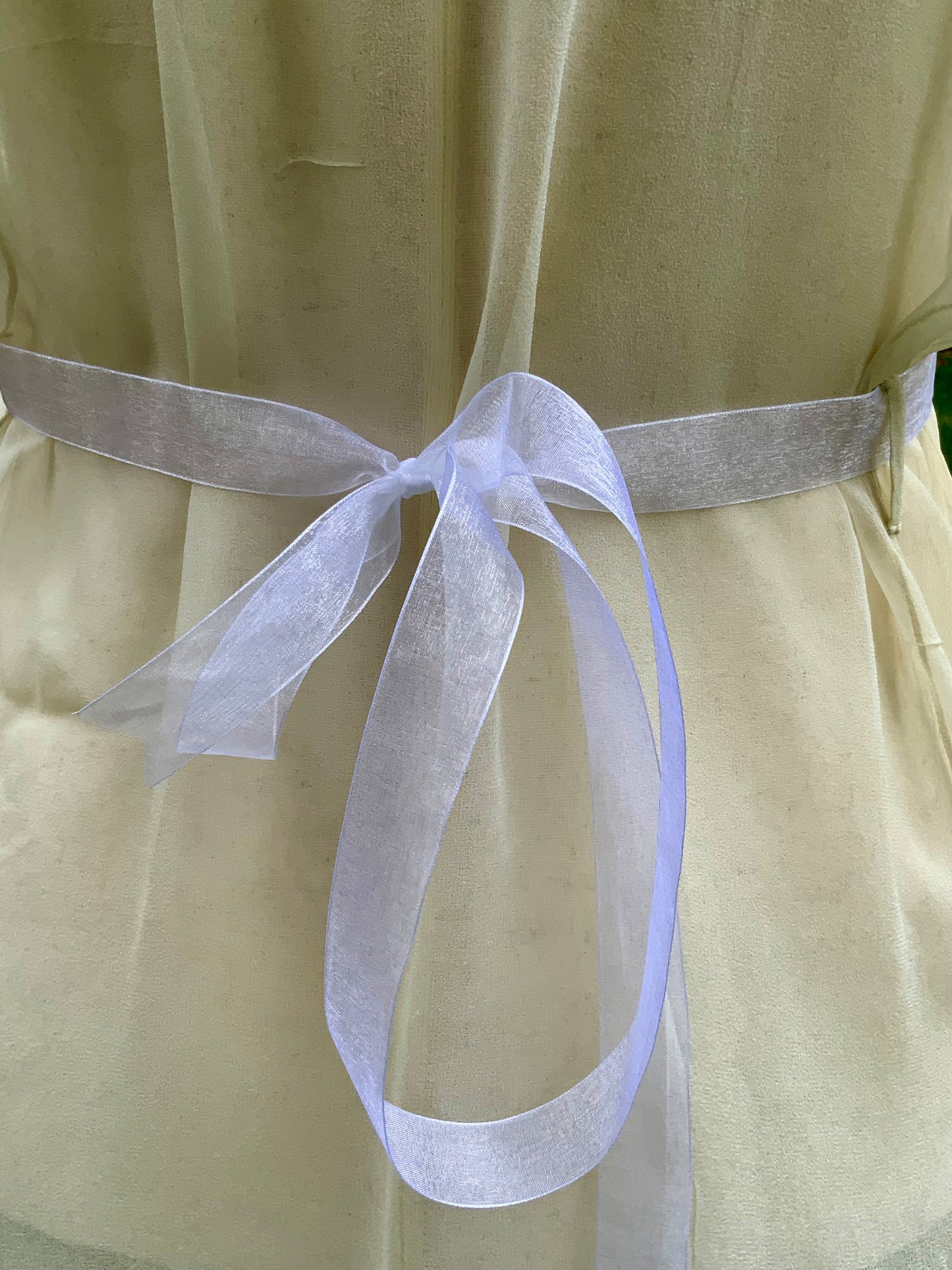 Edwardian–1920s Sheer Silk Chiffon Slip Dress | -Trousseau Lingerie Gown –20AP