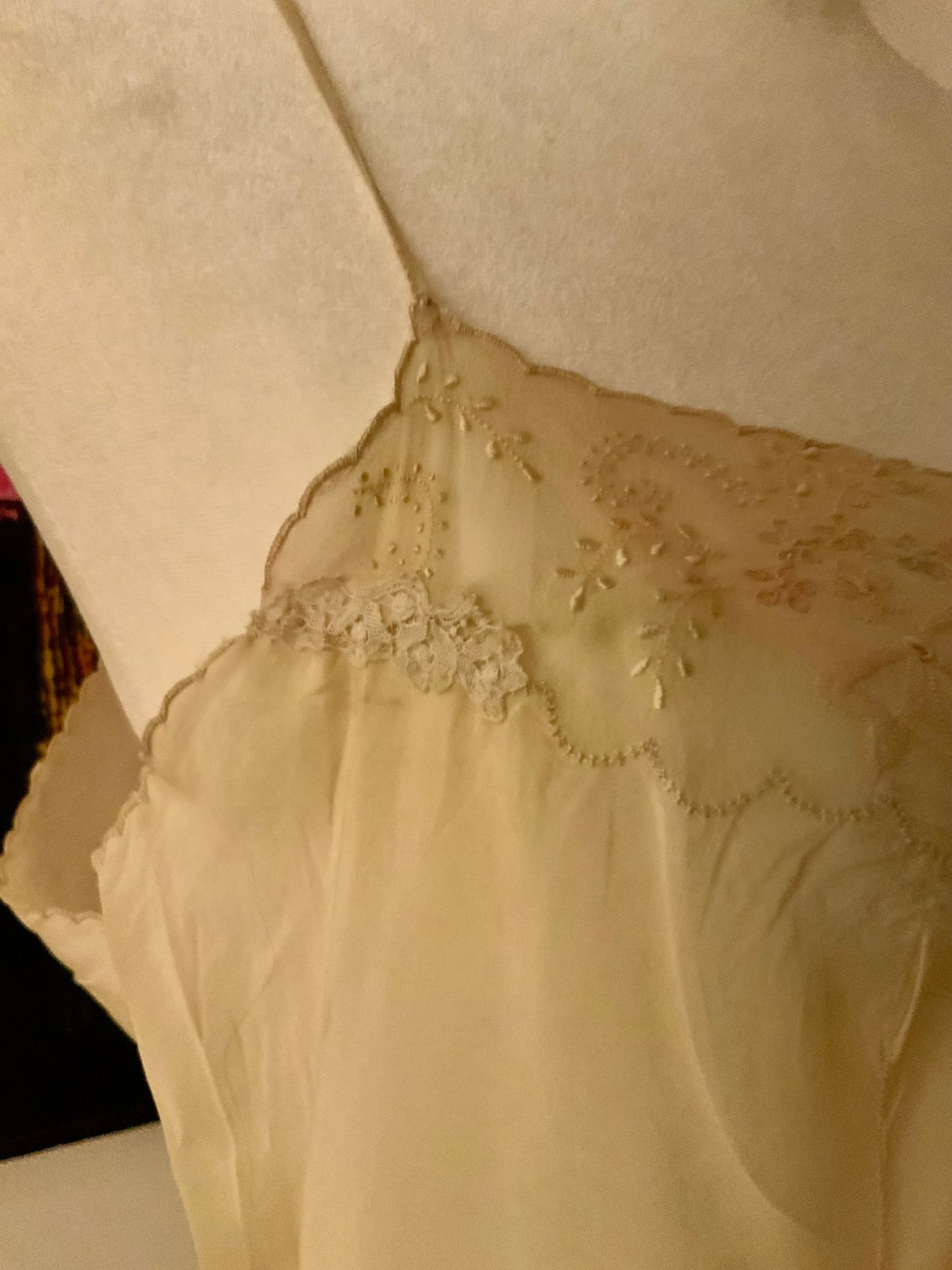 1930s Hand-Embroidered Pure Silk Slip Dress | Champagne - 30AT