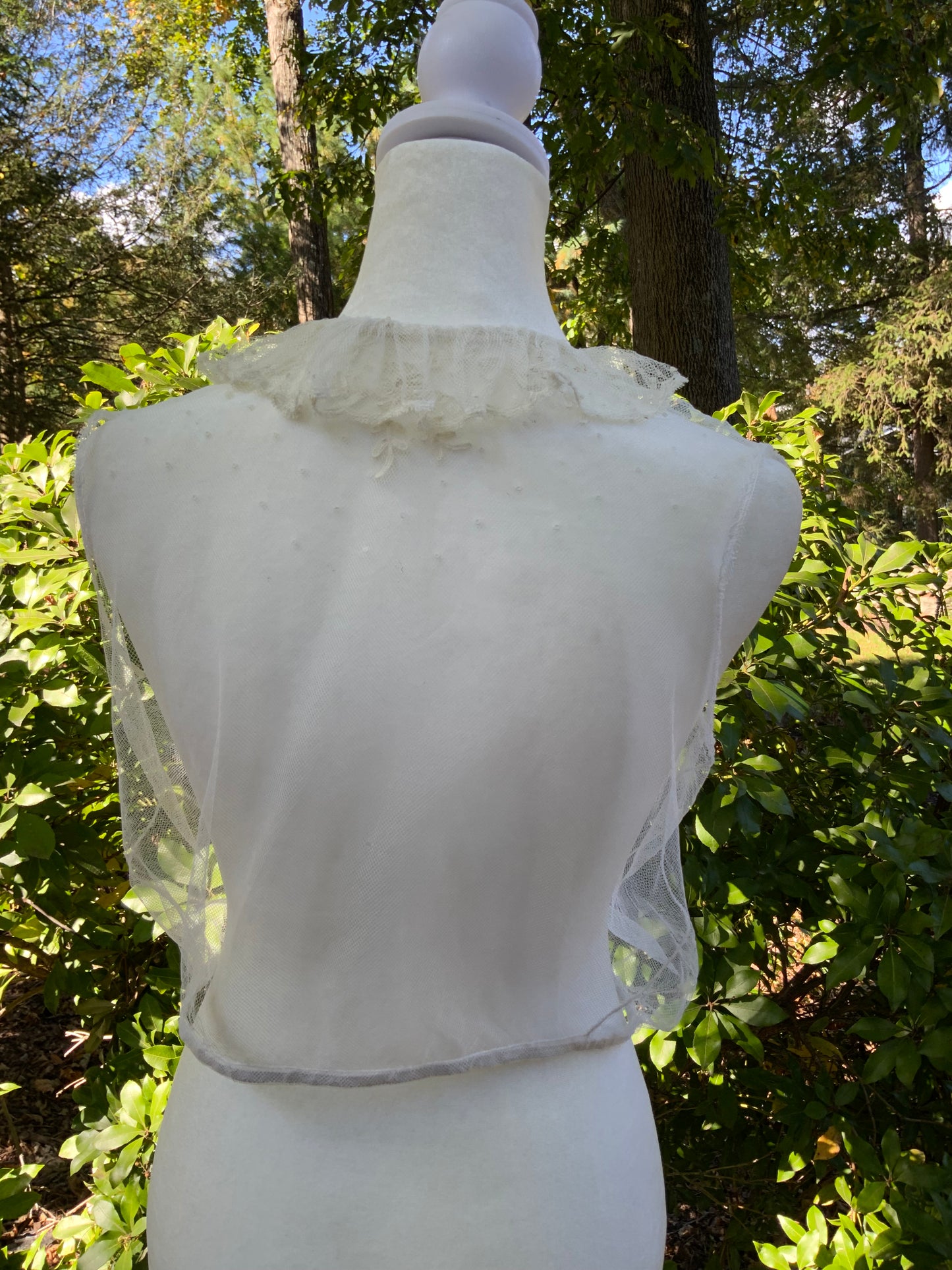 Edwardian Net Blouse - 1900s - ED19